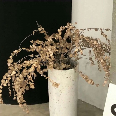 香格里拉FurryQQ群介绍